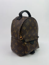Louis Vuitton Palm Springs Mini Backpack