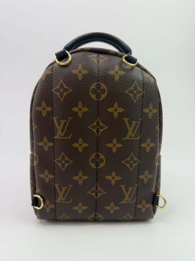 Louis Vuitton Palm Springs Mini Backpack